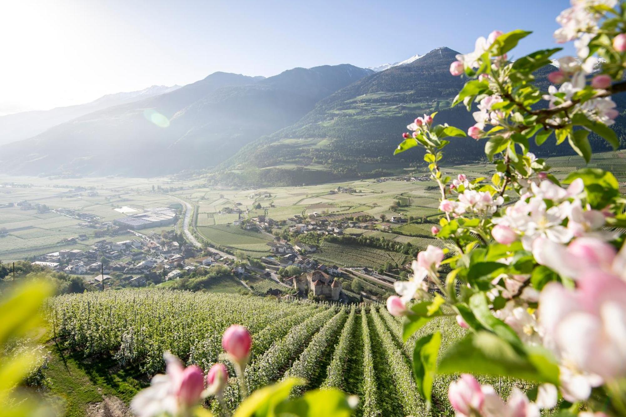 Lindenhof Pure Luxury & Spa Dolcevita Resort Naturns Esterno foto